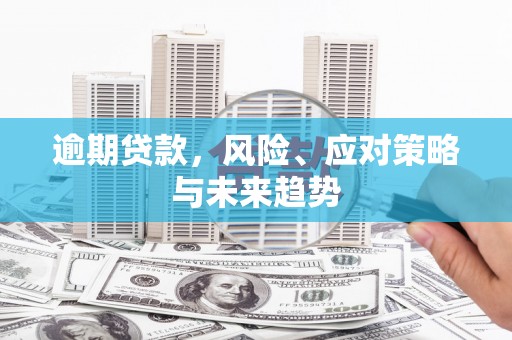 霍尔果斯逾期贷款，风险、应对策略与未来趋势