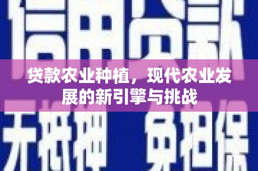 霍尔果斯贷款农业种植，现代农业发展的新引擎与挑战