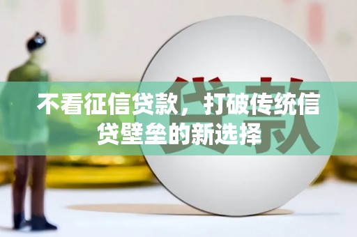 霍尔果斯不看征信贷款，打破传统信贷壁垒的新选择
