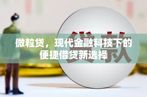 霍尔果斯微粒贷，现代金融科技下的便捷借贷新选择