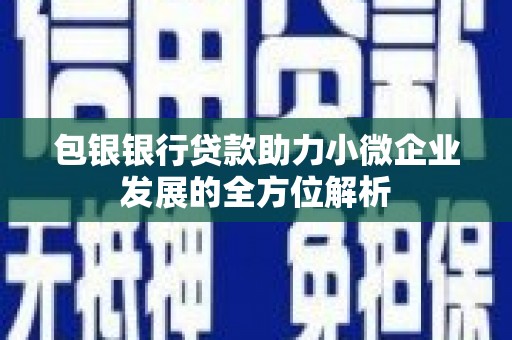 霍尔果斯包银银行贷款助力小微企业发展的全方位解析