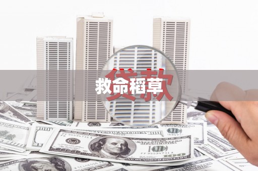 霍尔果斯救命稻草