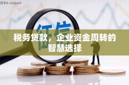 霍尔果斯税务贷款，企业资金周转的智慧选择