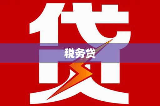 霍尔果斯税务贷