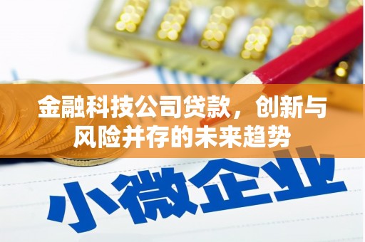 霍尔果斯金融科技公司贷款，创新与风险并存的未来趋势