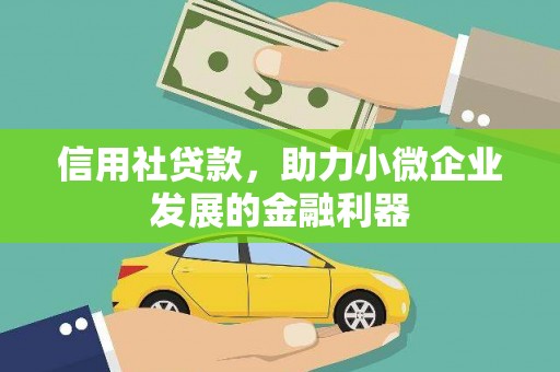 霍尔果斯信用社贷款，助力小微企业发展的金融利器