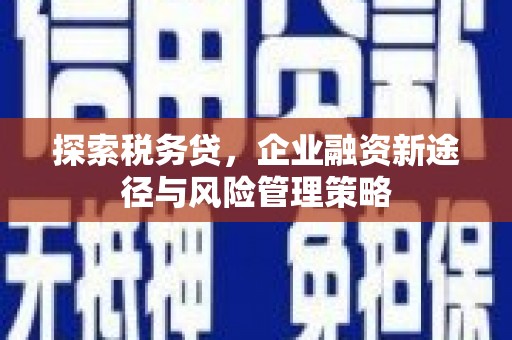 霍尔果斯探索税务贷，企业融资新途径与风险管理策略