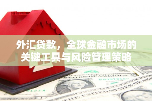 霍尔果斯外汇贷款，全球金融市场的关键工具与风险管理策略