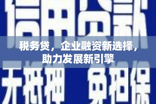 霍尔果斯税务贷，企业融资新选择，助力发展新引擎