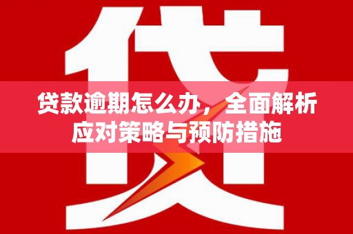 霍尔果斯贷款逾期怎么办，全面解析应对策略与预防措施