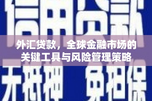 霍尔果斯外汇贷款，全球金融市场的关键工具与风险管理策略