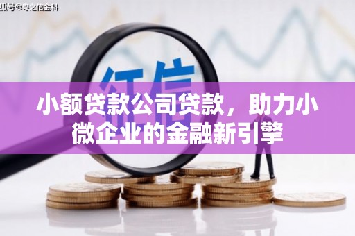 霍尔果斯小额贷款公司贷款，助力小微企业的金融新引擎