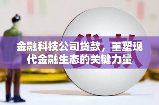 霍尔果斯金融科技公司贷款，重塑现代金融生态的关键力量