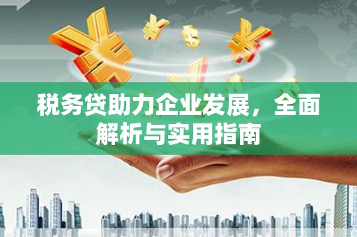 霍尔果斯税务贷助力企业发展，全面解析与实用指南
