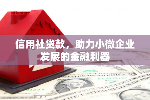 霍尔果斯信用社贷款，助力小微企业发展的金融利器