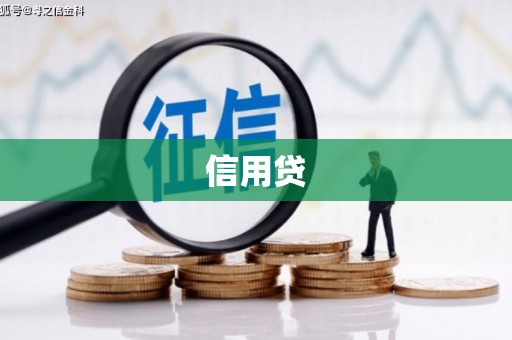 霍尔果斯信用贷
