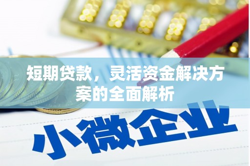 霍尔果斯短期贷款，灵活资金解决方案的全面解析