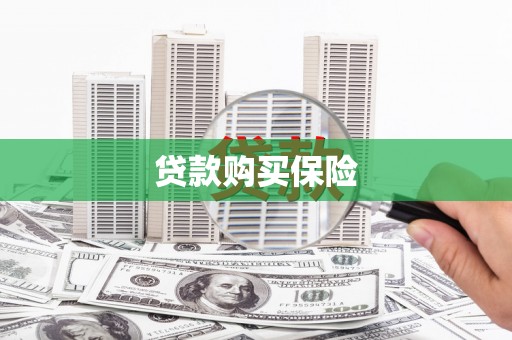 霍尔果斯贷款购买保险