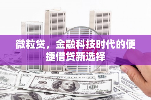 霍尔果斯微粒贷，金融科技时代的便捷借贷新选择
