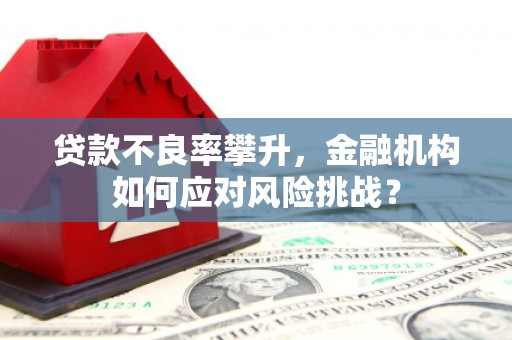 霍尔果斯贷款不良率攀升，金融机构如何应对风险挑战？
