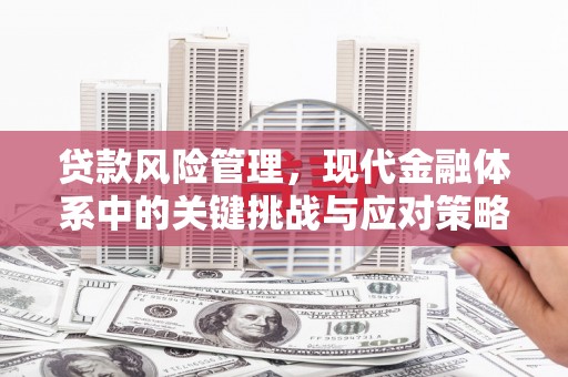 霍尔果斯贷款风险管理，现代金融体系中的关键挑战与应对策略