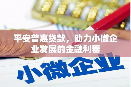 霍尔果斯平安普惠贷款，助力小微企业发展的金融利器