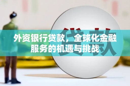 霍尔果斯外资银行贷款，全球化金融服务的机遇与挑战