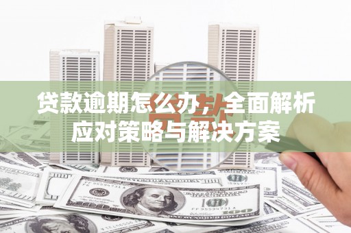 霍尔果斯贷款逾期怎么办，全面解析应对策略与解决方案