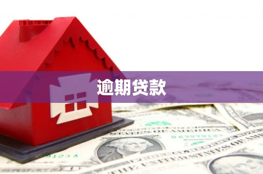 霍尔果斯逾期贷款